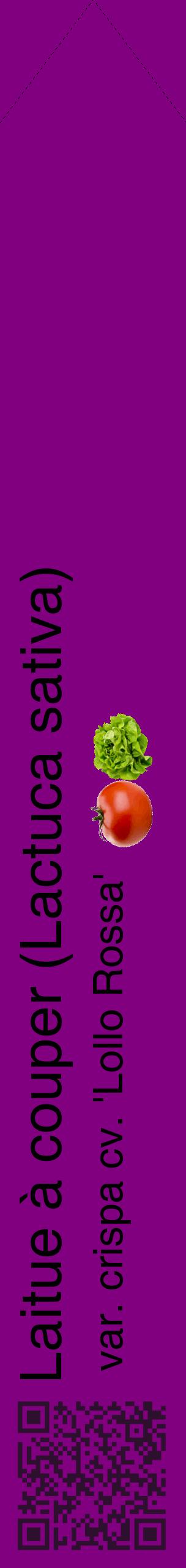 Étiquette de : Lactuca sativa var. crispa cv. 'Lollo Rossa' - format c - style noire46_simplehel avec qrcode et comestibilité simplifiée