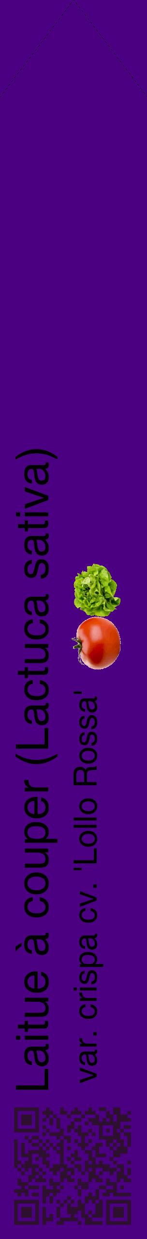 Étiquette de : Lactuca sativa var. crispa cv. 'Lollo Rossa' - format c - style noire47_simplehel avec qrcode et comestibilité simplifiée