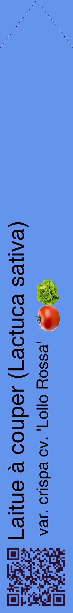 Étiquette de : Lactuca sativa var. crispa cv. 'Lollo Rossa' - format c - style noire4_simplehel avec qrcode et comestibilité simplifiée