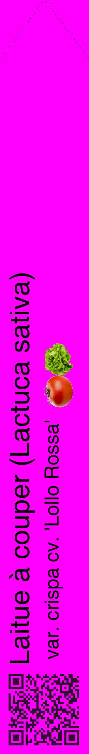Étiquette de : Lactuca sativa var. crispa cv. 'Lollo Rossa' - format c - style noire51_simplehel avec qrcode et comestibilité simplifiée
