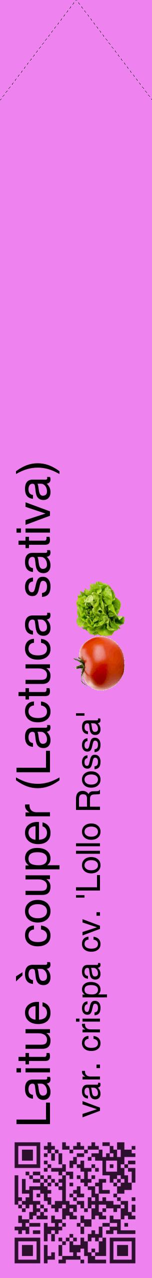 Étiquette de : Lactuca sativa var. crispa cv. 'Lollo Rossa' - format c - style noire53_simplehel avec qrcode et comestibilité simplifiée