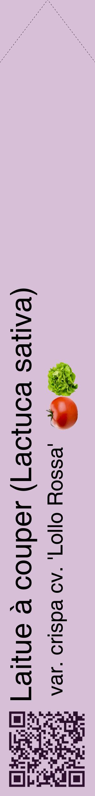 Étiquette de : Lactuca sativa var. crispa cv. 'Lollo Rossa' - format c - style noire54_simplehel avec qrcode et comestibilité simplifiée