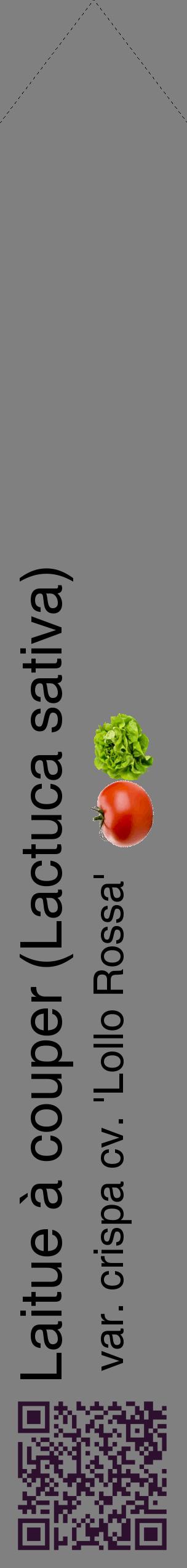 Étiquette de : Lactuca sativa var. crispa cv. 'Lollo Rossa' - format c - style noire57_simplehel avec qrcode et comestibilité simplifiée