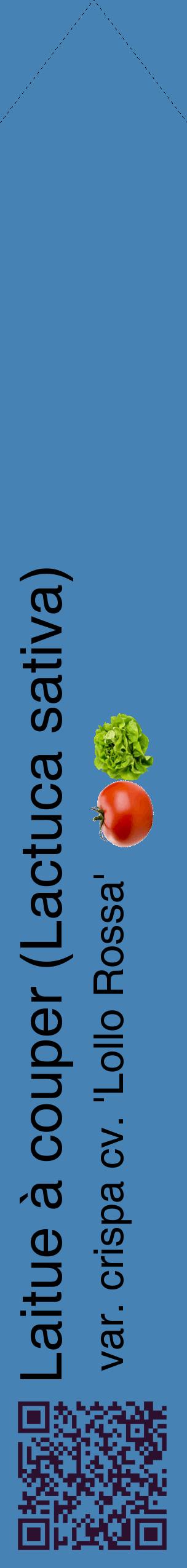 Étiquette de : Lactuca sativa var. crispa cv. 'Lollo Rossa' - format c - style noire5_simplehel avec qrcode et comestibilité simplifiée