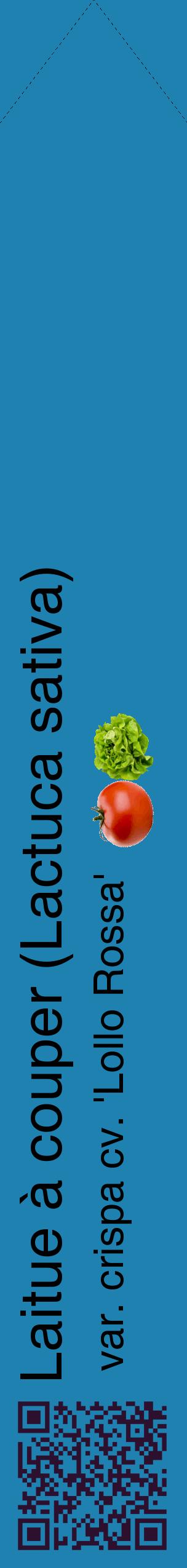 Étiquette de : Lactuca sativa var. crispa cv. 'Lollo Rossa' - format c - style noire6_simplehel avec qrcode et comestibilité simplifiée