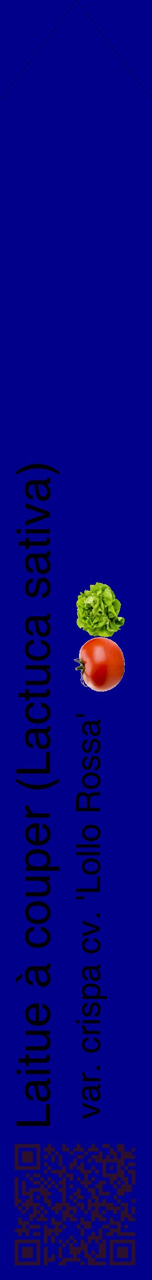 Étiquette de : Lactuca sativa var. crispa cv. 'Lollo Rossa' - format c - style noire7_simplehel avec qrcode et comestibilité simplifiée