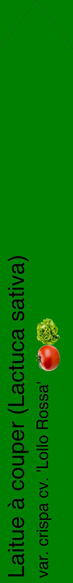 Étiquette de : Lactuca sativa var. crispa cv. 'Lollo Rossa' - format c - style noire9_simplehel avec comestibilité simplifiée