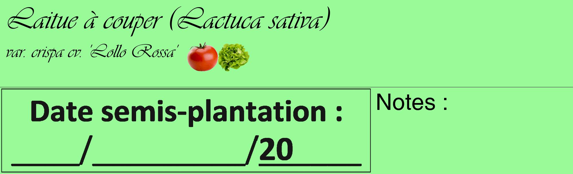 Étiquette de : Lactuca sativa var. crispa cv. 'Lollo Rossa' - format c - style noire14_basique_basiqueviv avec comestibilité simplifiée