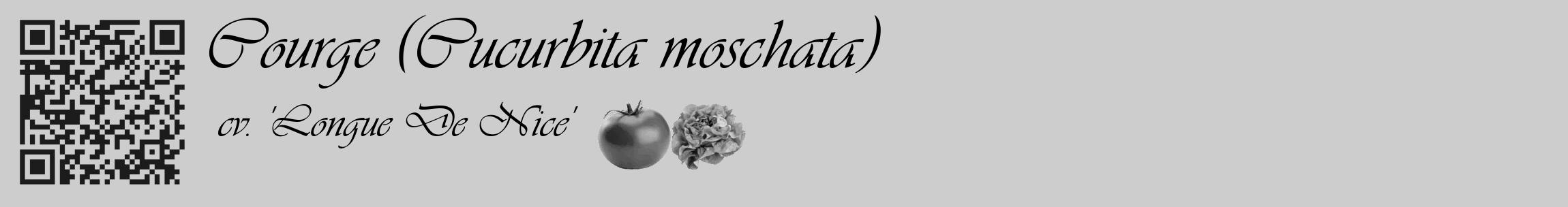 Étiquette de : Cucurbita moschata cv. 'Longue De Nice' - format c - style noire41_basique_basiqueviv avec qrcode et comestibilité simplifiée