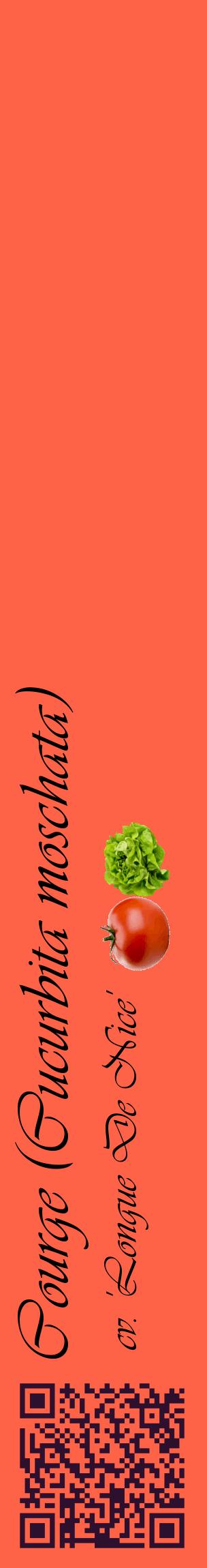 Étiquette de : Cucurbita moschata cv. 'Longue De Nice' - format c - style noire25_basiqueviv avec qrcode et comestibilité simplifiée