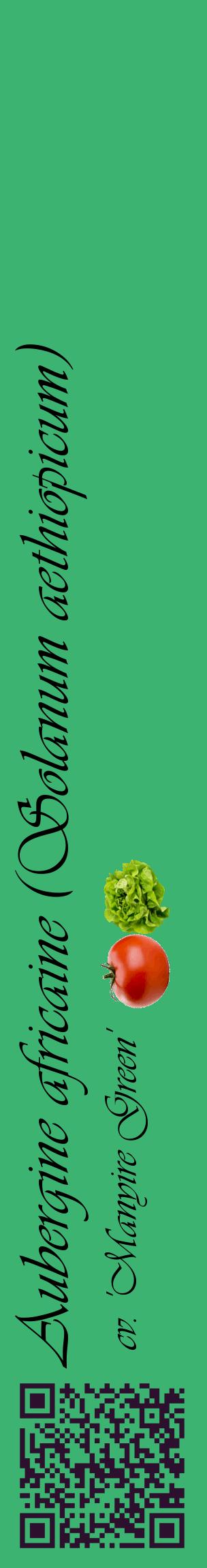 Étiquette de : Solanum aethiopicum cv. 'Manyire Green' - format c - style noire12_basiqueviv avec qrcode et comestibilité simplifiée