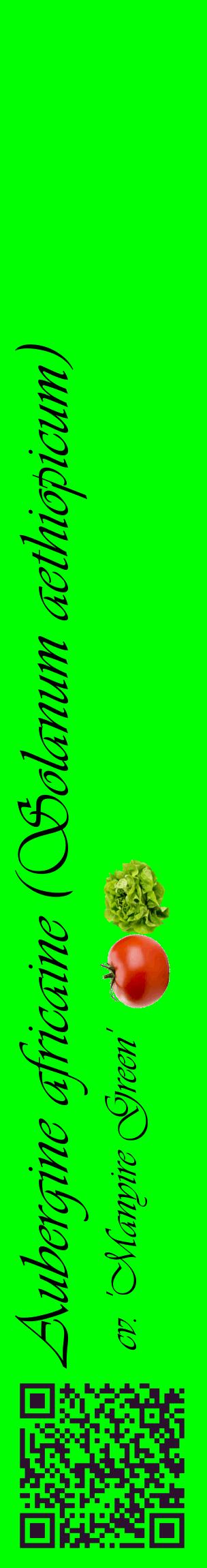 Étiquette de : Solanum aethiopicum cv. 'Manyire Green' - format c - style noire16_basiqueviv avec qrcode et comestibilité simplifiée