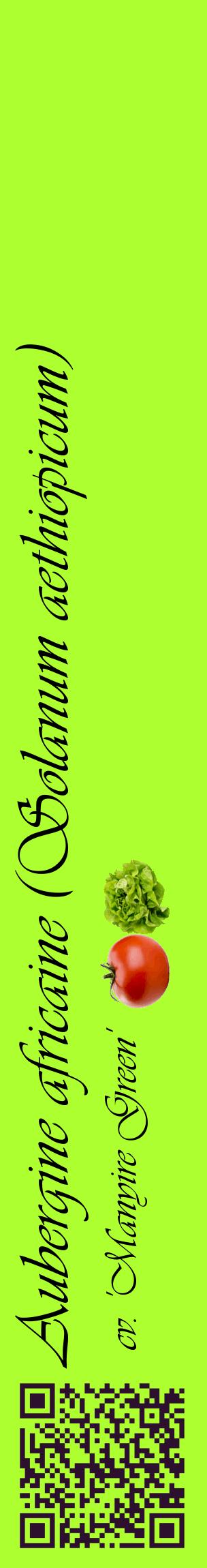 Étiquette de : Solanum aethiopicum cv. 'Manyire Green' - format c - style noire17_basiqueviv avec qrcode et comestibilité simplifiée