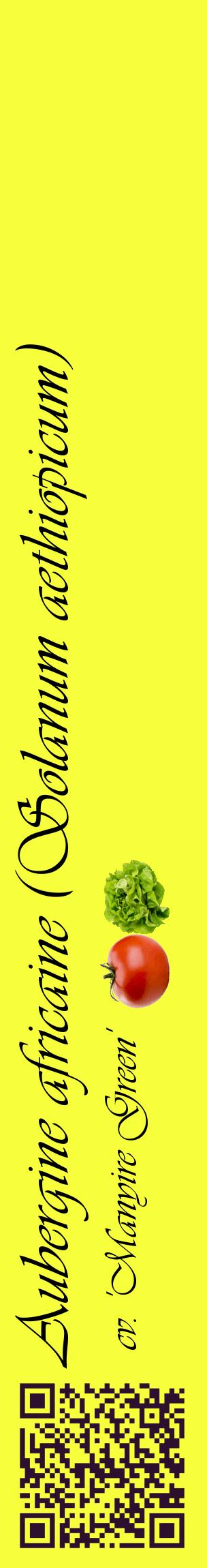 Étiquette de : Solanum aethiopicum cv. 'Manyire Green' - format c - style noire18_basiqueviv avec qrcode et comestibilité simplifiée