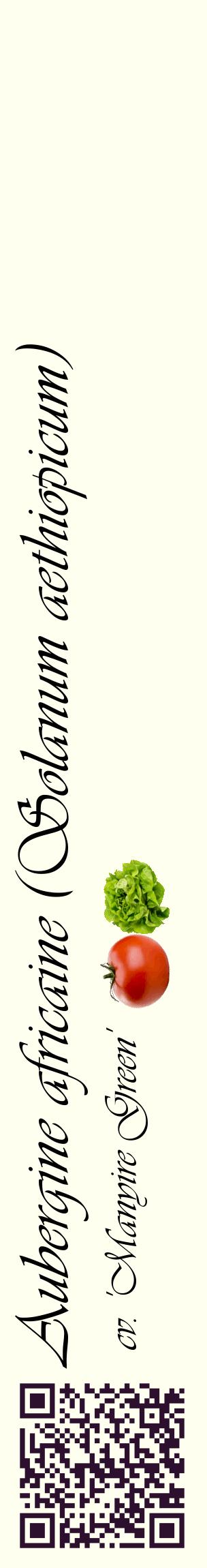 Étiquette de : Solanum aethiopicum cv. 'Manyire Green' - format c - style noire19_basiqueviv avec qrcode et comestibilité simplifiée