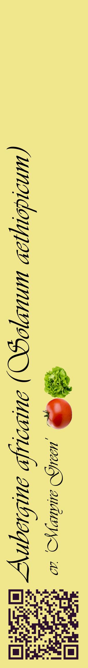 Étiquette de : Solanum aethiopicum cv. 'Manyire Green' - format c - style noire20_basiqueviv avec qrcode et comestibilité simplifiée