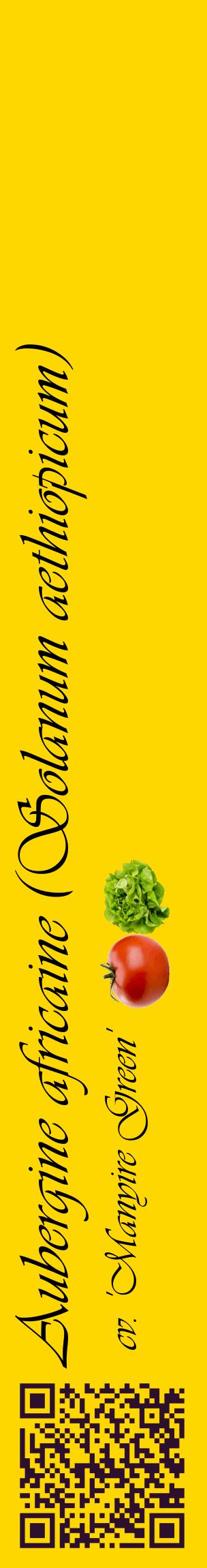 Étiquette de : Solanum aethiopicum cv. 'Manyire Green' - format c - style noire21_basiqueviv avec qrcode et comestibilité simplifiée