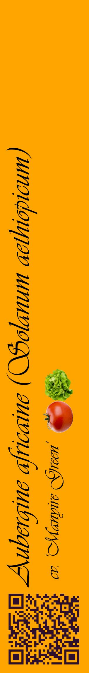 Étiquette de : Solanum aethiopicum cv. 'Manyire Green' - format c - style noire22_basiqueviv avec qrcode et comestibilité simplifiée