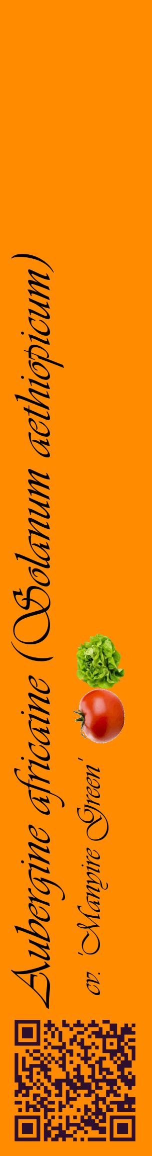 Étiquette de : Solanum aethiopicum cv. 'Manyire Green' - format c - style noire23_basiqueviv avec qrcode et comestibilité simplifiée