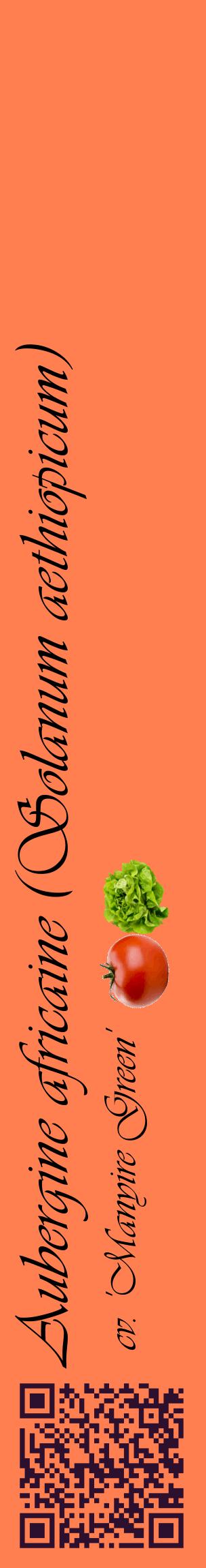 Étiquette de : Solanum aethiopicum cv. 'Manyire Green' - format c - style noire24_basiqueviv avec qrcode et comestibilité simplifiée