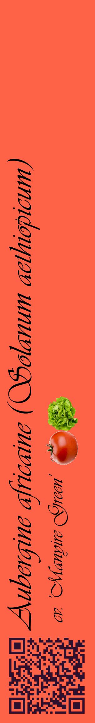 Étiquette de : Solanum aethiopicum cv. 'Manyire Green' - format c - style noire25_basiqueviv avec qrcode et comestibilité simplifiée