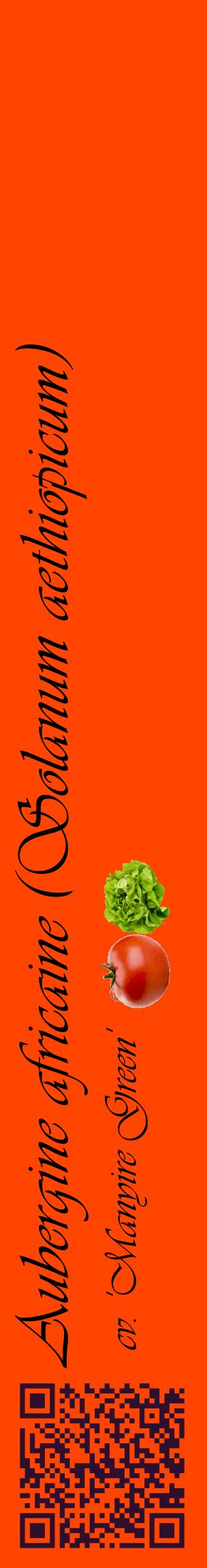 Étiquette de : Solanum aethiopicum cv. 'Manyire Green' - format c - style noire26_basiqueviv avec qrcode et comestibilité simplifiée