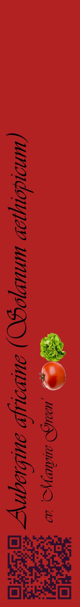 Étiquette de : Solanum aethiopicum cv. 'Manyire Green' - format c - style noire28_basiqueviv avec qrcode et comestibilité simplifiée