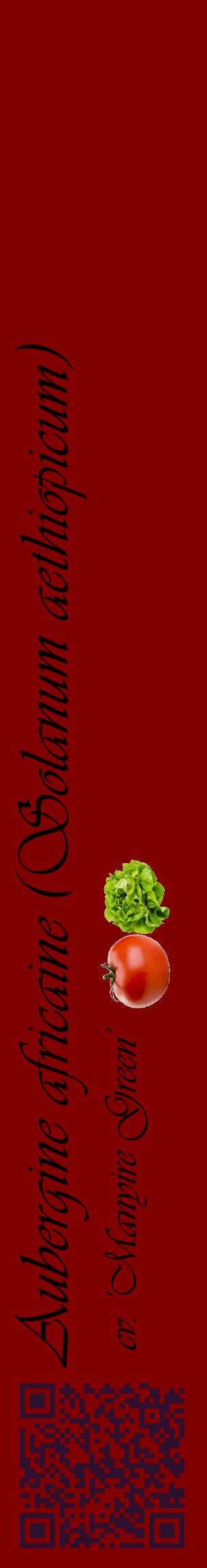 Étiquette de : Solanum aethiopicum cv. 'Manyire Green' - format c - style noire29_basiqueviv avec qrcode et comestibilité simplifiée