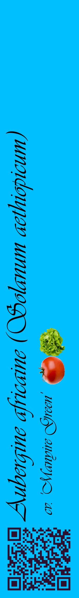 Étiquette de : Solanum aethiopicum cv. 'Manyire Green' - format c - style noire2_basiqueviv avec qrcode et comestibilité simplifiée
