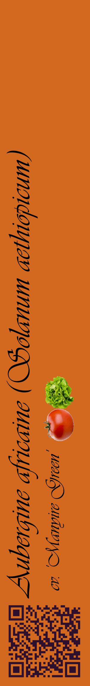 Étiquette de : Solanum aethiopicum cv. 'Manyire Green' - format c - style noire31_basiqueviv avec qrcode et comestibilité simplifiée