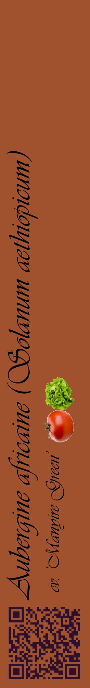 Étiquette de : Solanum aethiopicum cv. 'Manyire Green' - format c - style noire32_basiqueviv avec qrcode et comestibilité simplifiée