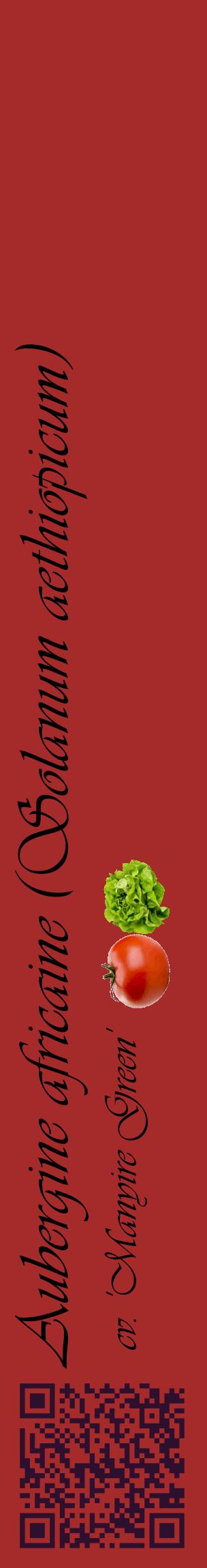 Étiquette de : Solanum aethiopicum cv. 'Manyire Green' - format c - style noire33_basiqueviv avec qrcode et comestibilité simplifiée