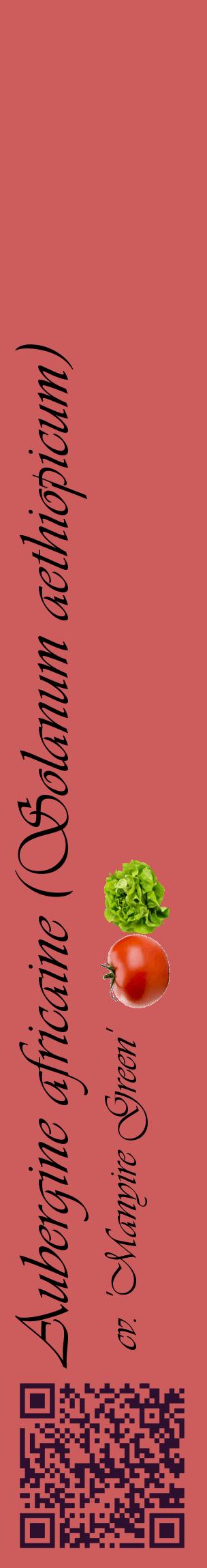 Étiquette de : Solanum aethiopicum cv. 'Manyire Green' - format c - style noire35_basiqueviv avec qrcode et comestibilité simplifiée
