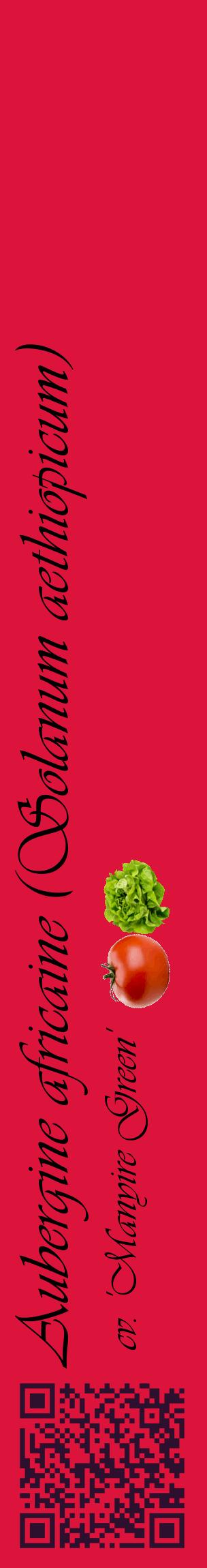 Étiquette de : Solanum aethiopicum cv. 'Manyire Green' - format c - style noire36_basiqueviv avec qrcode et comestibilité simplifiée