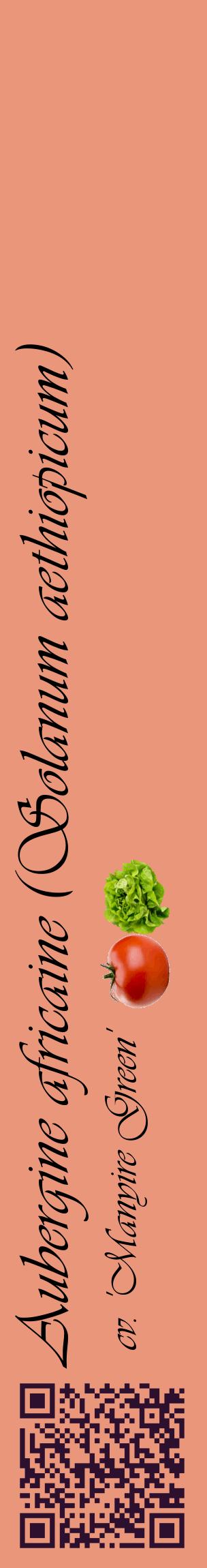 Étiquette de : Solanum aethiopicum cv. 'Manyire Green' - format c - style noire37_basiqueviv avec qrcode et comestibilité simplifiée