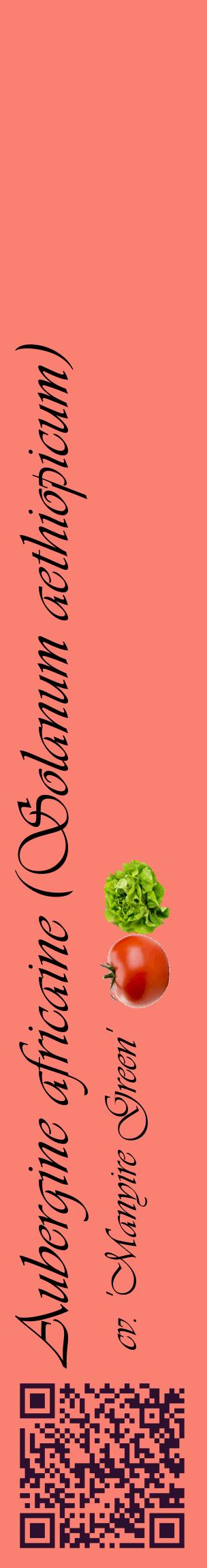 Étiquette de : Solanum aethiopicum cv. 'Manyire Green' - format c - style noire38_basiqueviv avec qrcode et comestibilité simplifiée