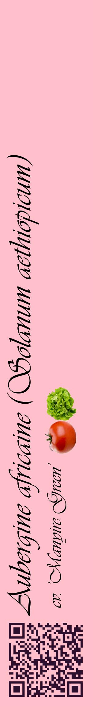Étiquette de : Solanum aethiopicum cv. 'Manyire Green' - format c - style noire40_basiqueviv avec qrcode et comestibilité simplifiée
