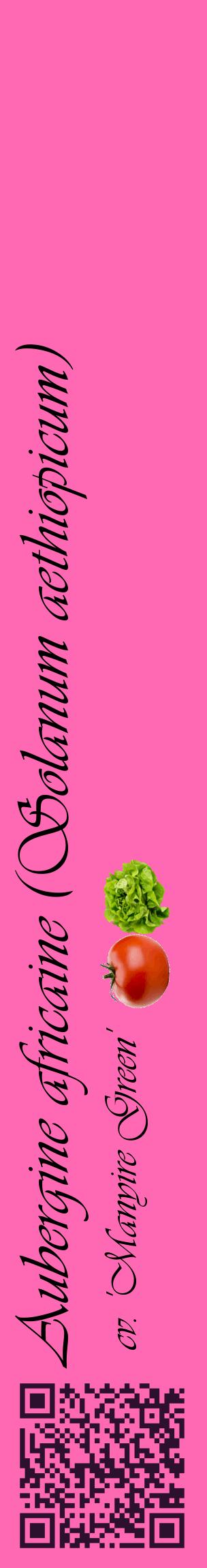 Étiquette de : Solanum aethiopicum cv. 'Manyire Green' - format c - style noire42_basiqueviv avec qrcode et comestibilité simplifiée