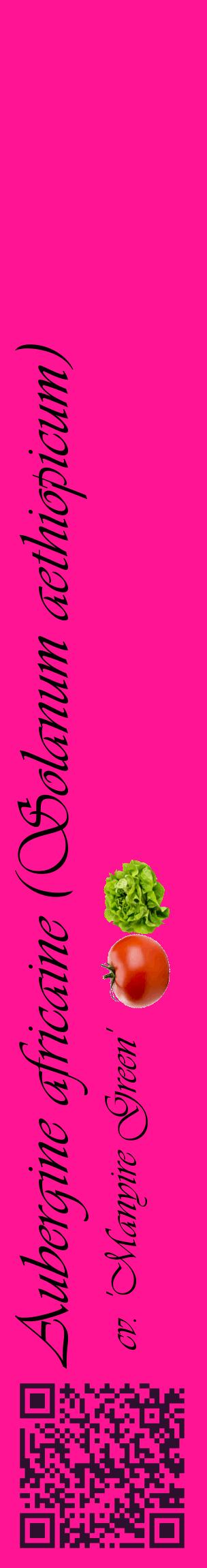 Étiquette de : Solanum aethiopicum cv. 'Manyire Green' - format c - style noire43_basiqueviv avec qrcode et comestibilité simplifiée