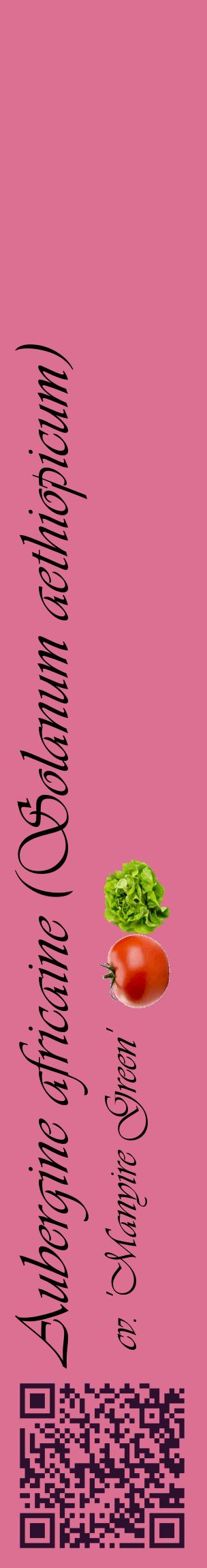 Étiquette de : Solanum aethiopicum cv. 'Manyire Green' - format c - style noire44_basiqueviv avec qrcode et comestibilité simplifiée
