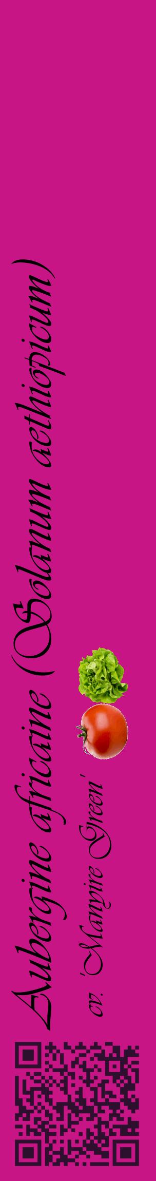 Étiquette de : Solanum aethiopicum cv. 'Manyire Green' - format c - style noire45_basiqueviv avec qrcode et comestibilité simplifiée