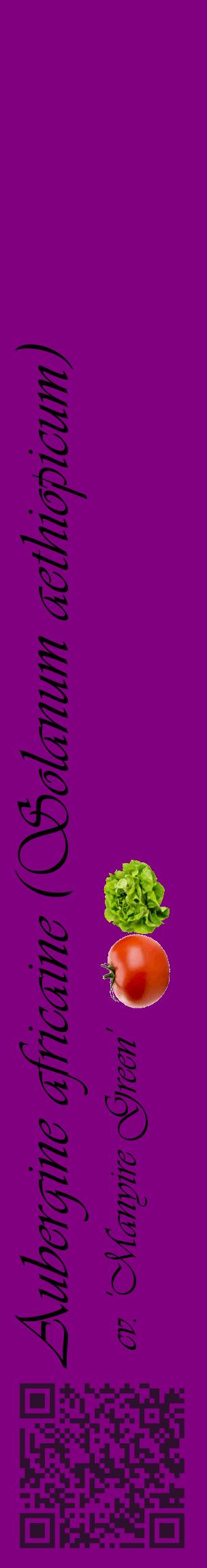 Étiquette de : Solanum aethiopicum cv. 'Manyire Green' - format c - style noire46_basiqueviv avec qrcode et comestibilité simplifiée