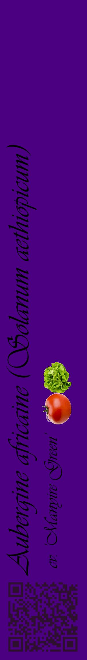 Étiquette de : Solanum aethiopicum cv. 'Manyire Green' - format c - style noire47_basiqueviv avec qrcode et comestibilité simplifiée