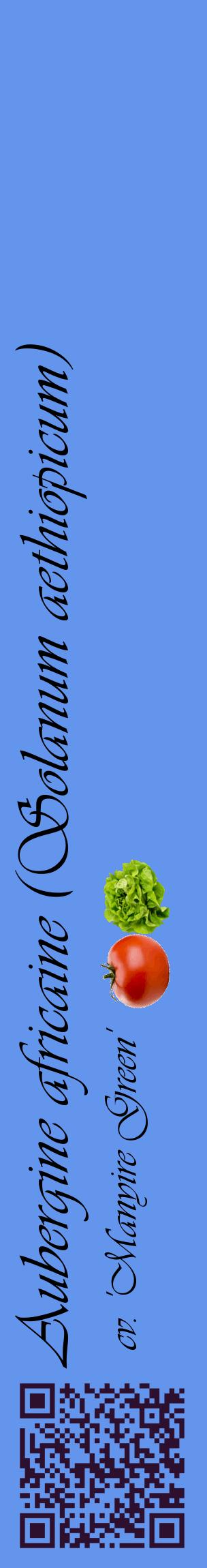 Étiquette de : Solanum aethiopicum cv. 'Manyire Green' - format c - style noire4_basiqueviv avec qrcode et comestibilité simplifiée