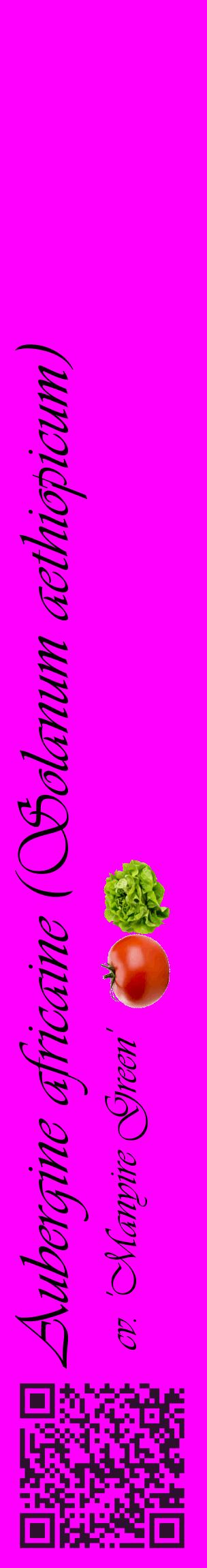 Étiquette de : Solanum aethiopicum cv. 'Manyire Green' - format c - style noire51_basiqueviv avec qrcode et comestibilité simplifiée