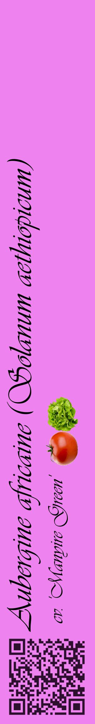 Étiquette de : Solanum aethiopicum cv. 'Manyire Green' - format c - style noire53_basiqueviv avec qrcode et comestibilité simplifiée