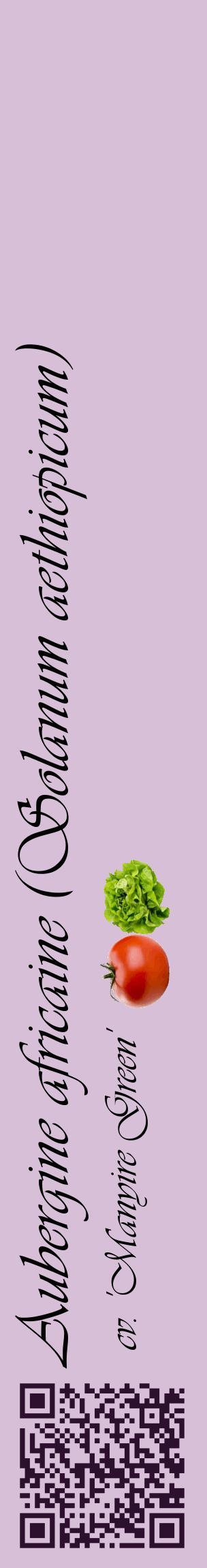 Étiquette de : Solanum aethiopicum cv. 'Manyire Green' - format c - style noire54_basiqueviv avec qrcode et comestibilité simplifiée