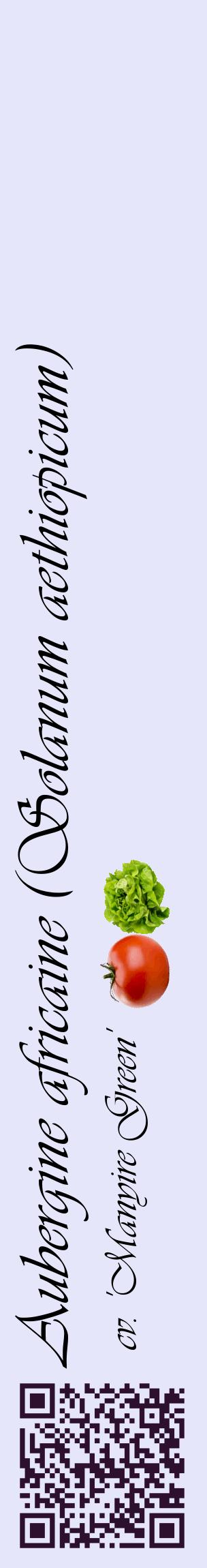 Étiquette de : Solanum aethiopicum cv. 'Manyire Green' - format c - style noire55_basiqueviv avec qrcode et comestibilité simplifiée