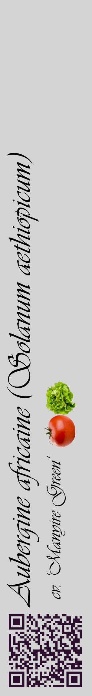 Étiquette de : Solanum aethiopicum cv. 'Manyire Green' - format c - style noire56_basiqueviv avec qrcode et comestibilité simplifiée