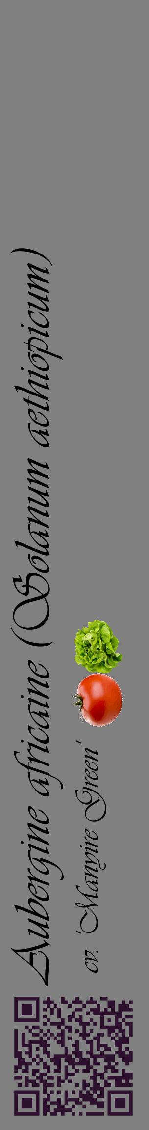 Étiquette de : Solanum aethiopicum cv. 'Manyire Green' - format c - style noire57_basiqueviv avec qrcode et comestibilité simplifiée